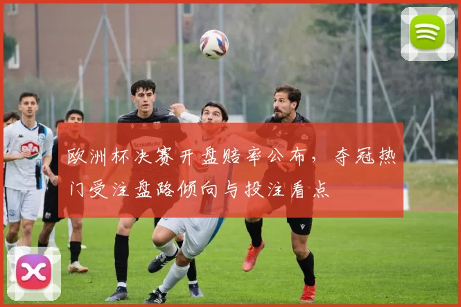 欧洲杯决赛开盘赔率公布，夺冠热门受注盘路倾向与投注看点